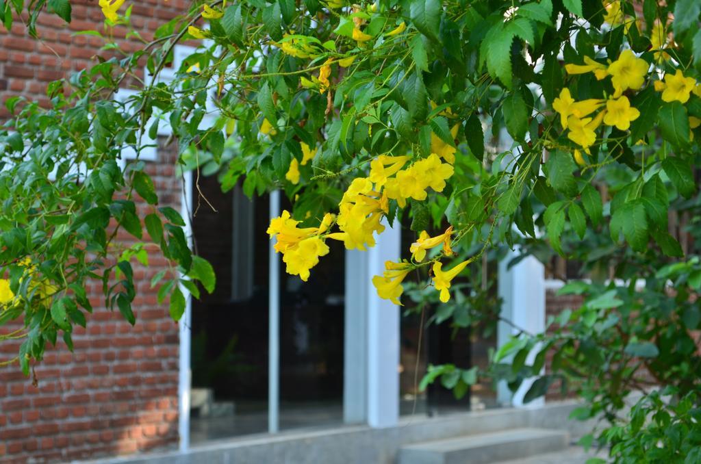 Vallee 69 Eco Villa-Tissa,Yala Tissamaharama Dış mekan fotoğraf