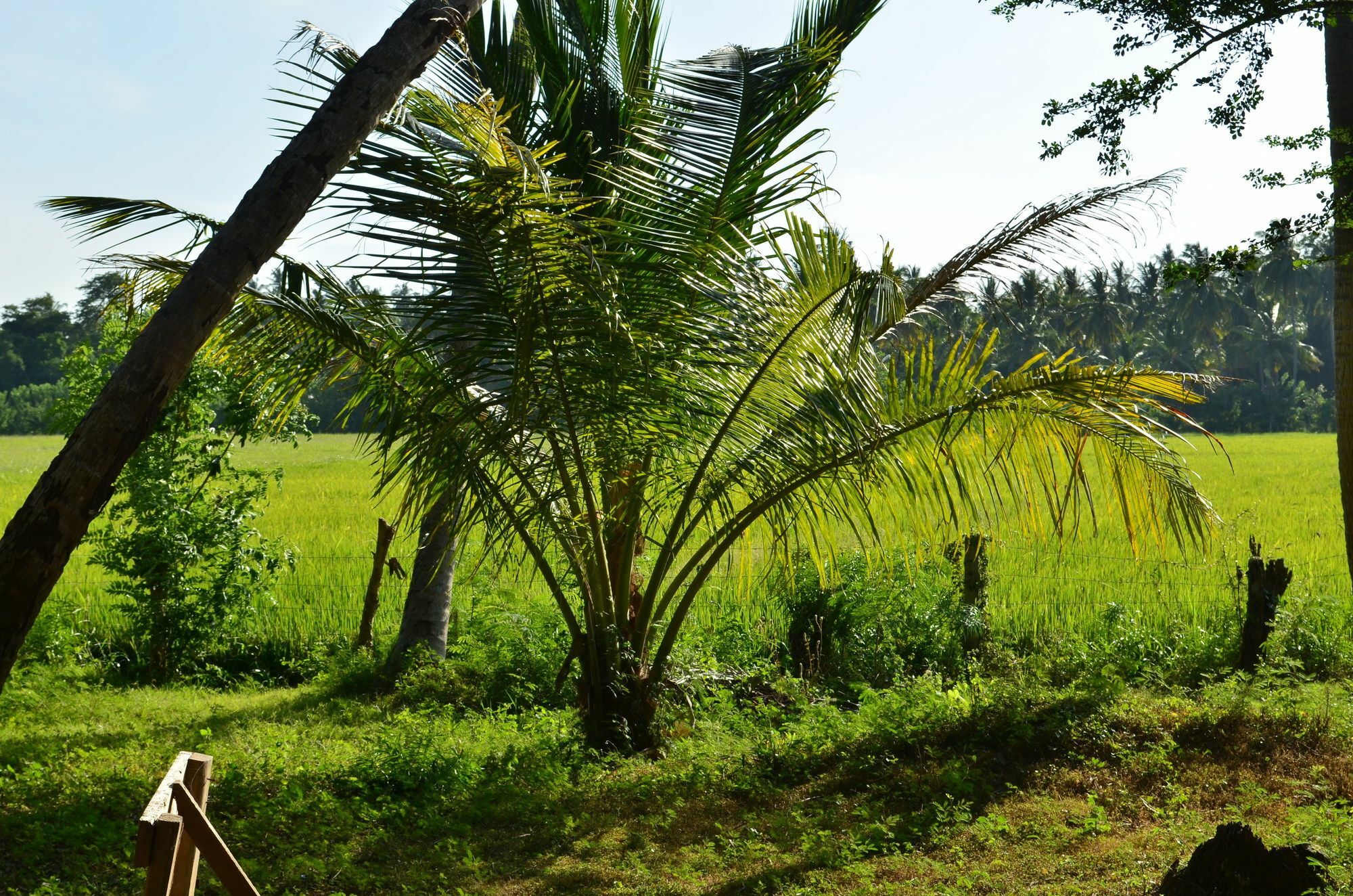 Vallee 69 Eco Villa-Tissa,Yala Tissamaharama Dış mekan fotoğraf
